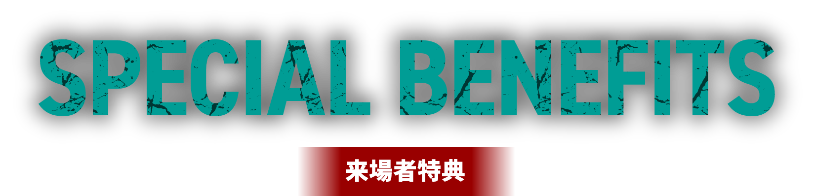 SPECIAL BENEFITS 来場者特典